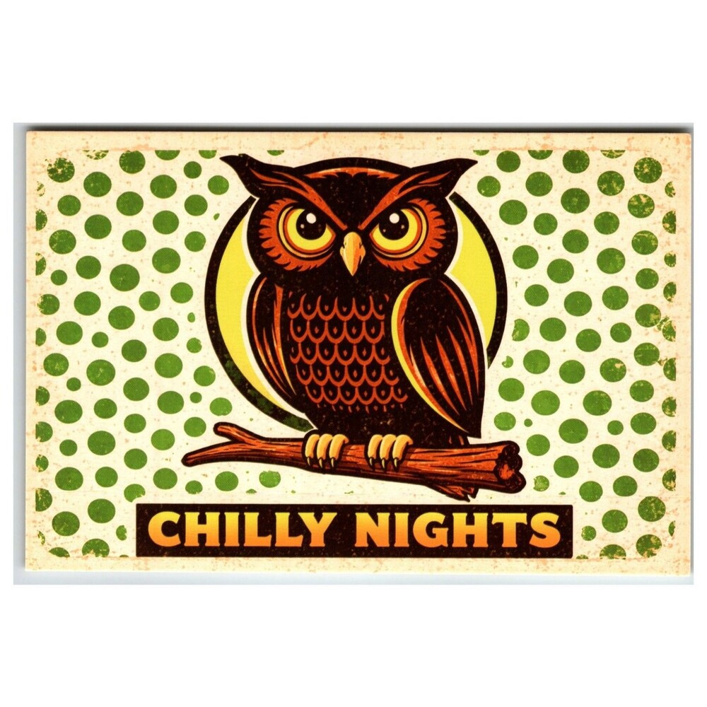Retro Owl Art Postcard CHILLY NIGHTS Happy Halloween Vintage Style Decor